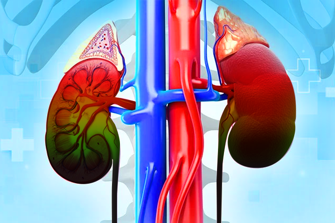 Chronic-Kidney-Disease-and-their-Treatment